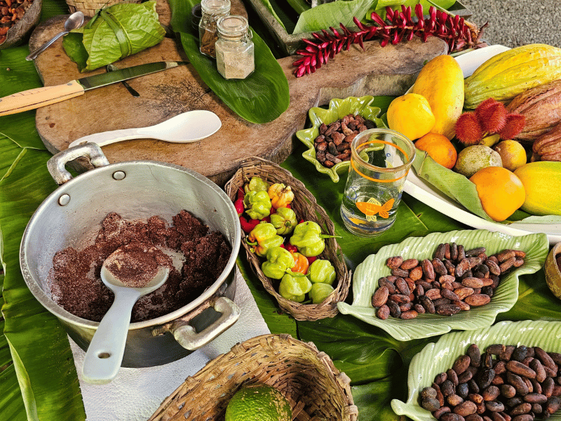 costa rica-puerto viejo-schokoladentour