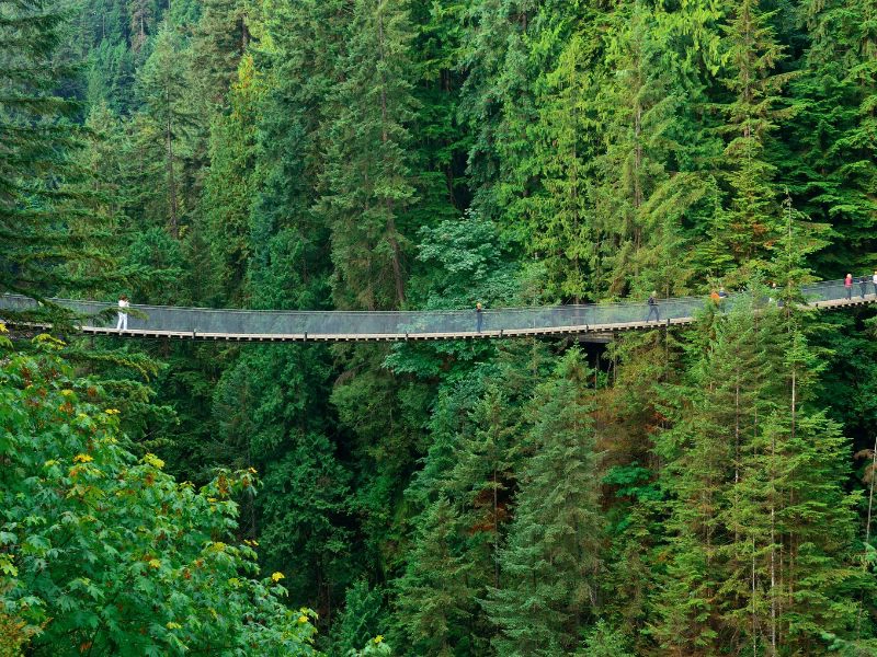 Vancouver Capilano Suspension Bridge Kanada
