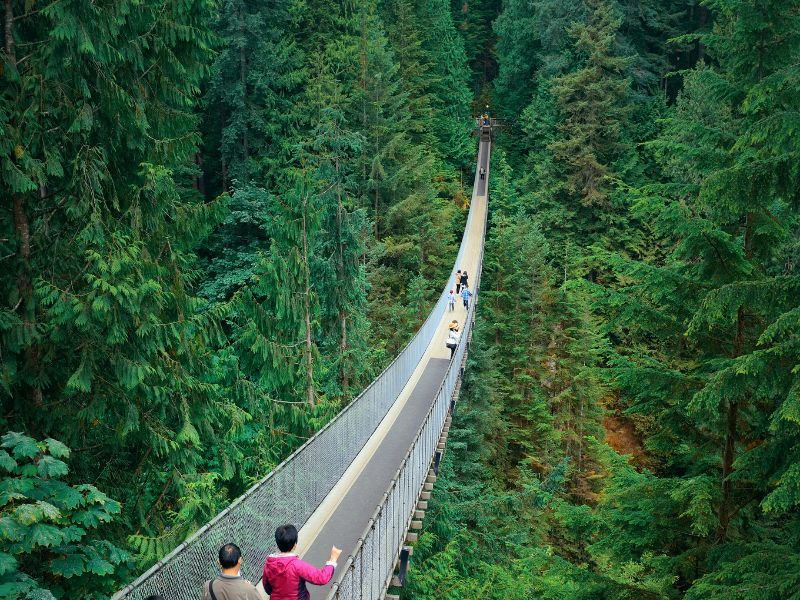 Vancouver Capilano Suspension Bridge Kanada