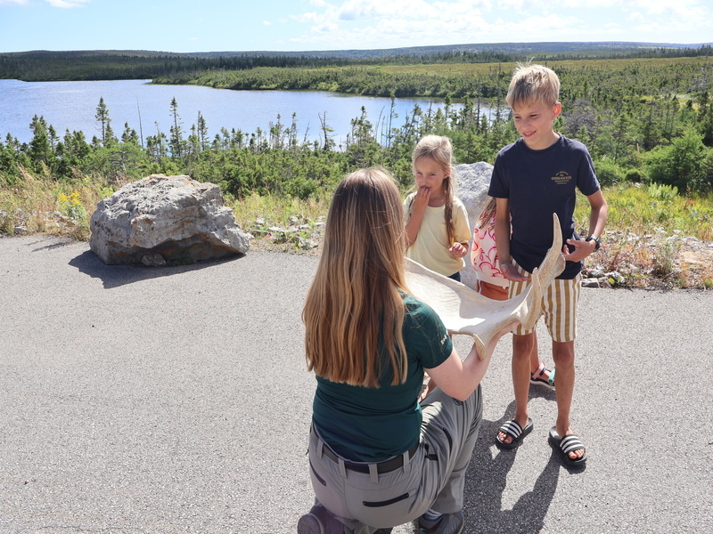 Kinder an einem Aussichtspunkt am Cabot Trail