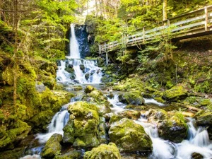Wasserfall im Fundy Nationalpark