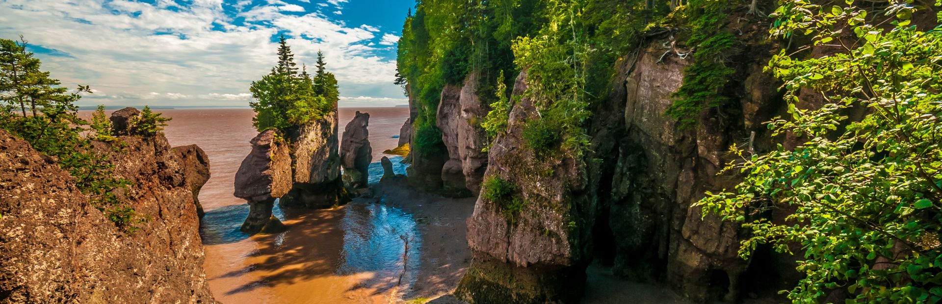 Blick auf die Bucht in Hopewell Rocks