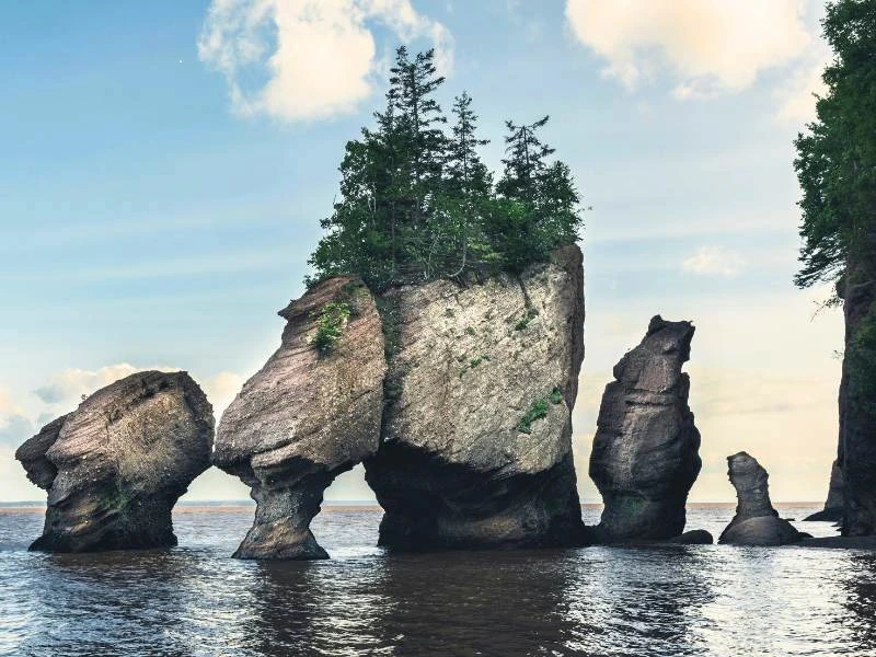 Hopewell Rocks im Fundy Nationalpark, Kanada