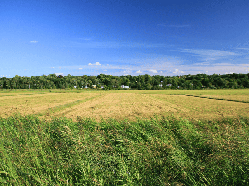 Landschaft rund um Wolfville in Kanada