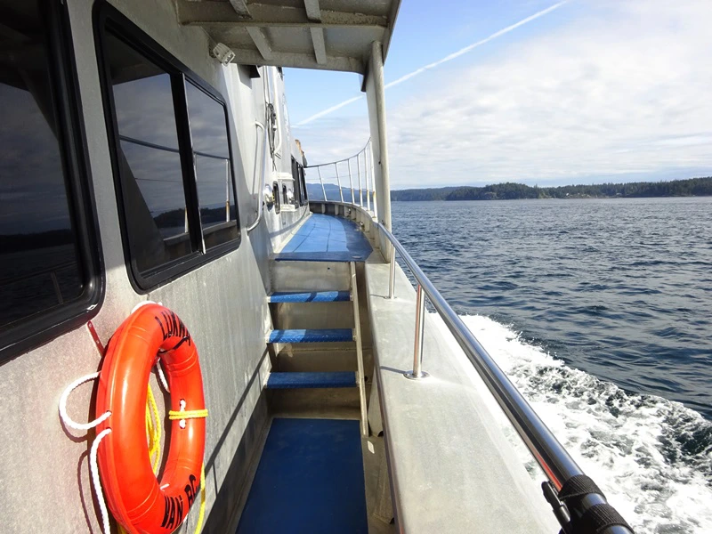 Unterwegs mit dem Boot bei Campbell River, Kanada