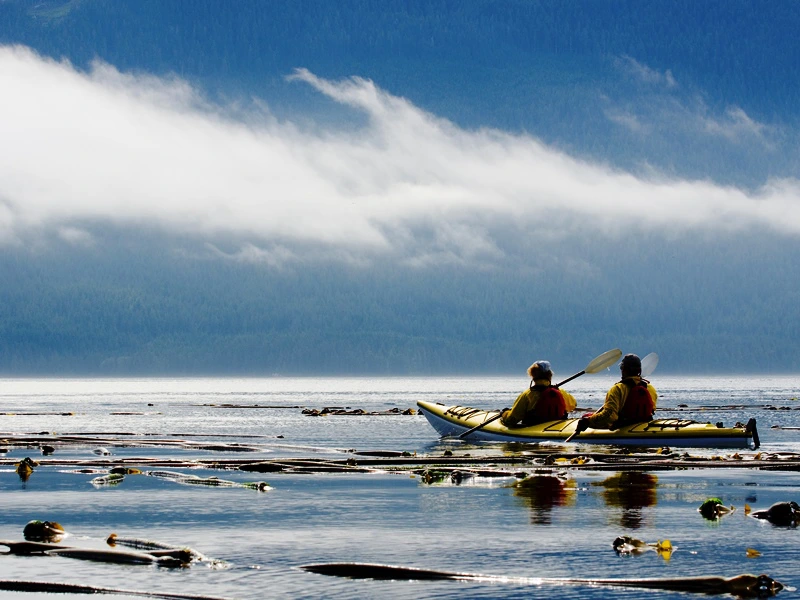 Kajaktour mir der Familie Telegraph Cove in Kanada