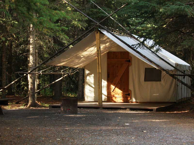 Zelt im Wald Kananaskis Kanada