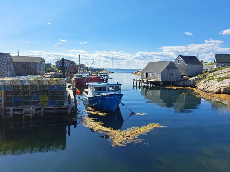 Kanada Familienreise kleiner Hafen in Peggys Cove