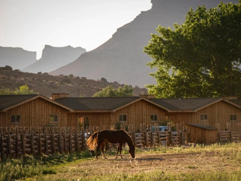 Pferd bei Lodge, Moab Colorado River