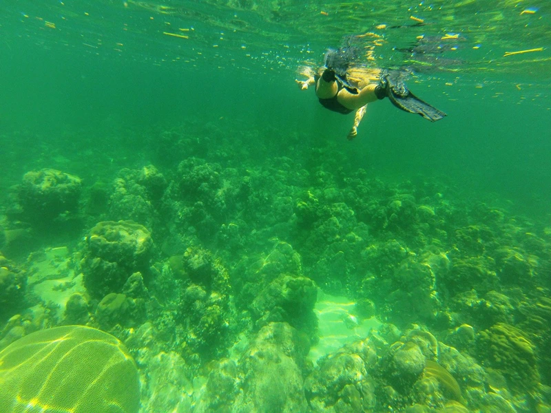 Schnorcheln vor den Keys