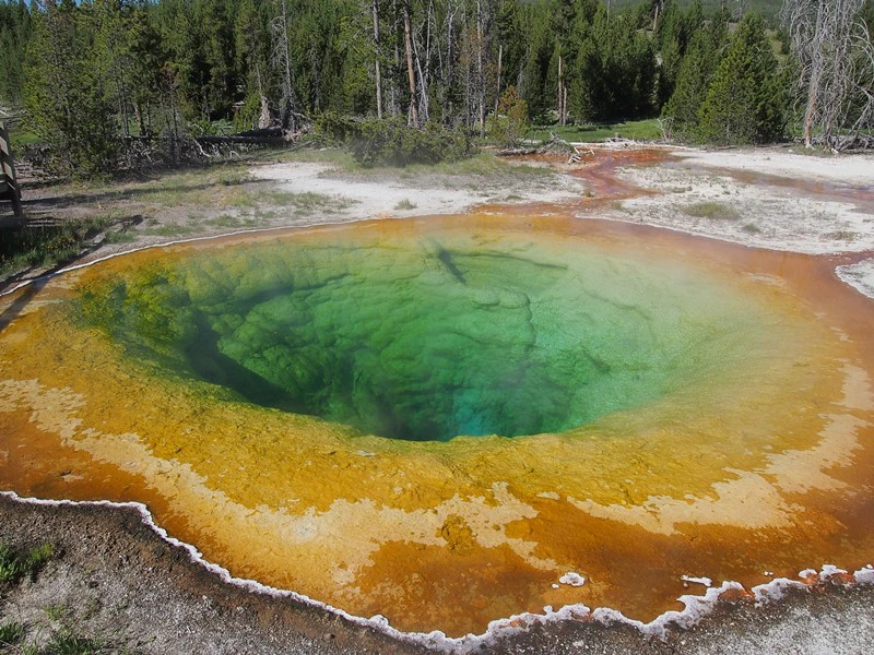 Bunt gefärbtes Wasserloch im Yellowstone