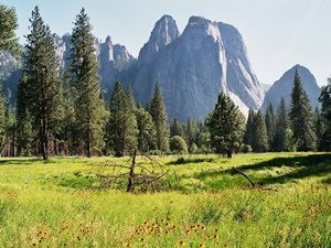 Yosemite Nationalpark in den USA