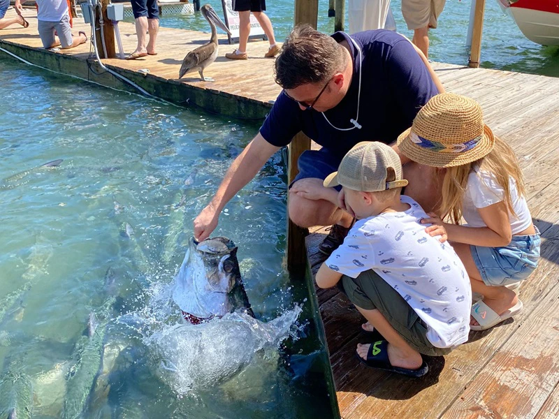 Tarpune fuettern USA Familienreise