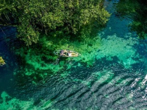 durchsichtiges Kajak in den Silver Springs