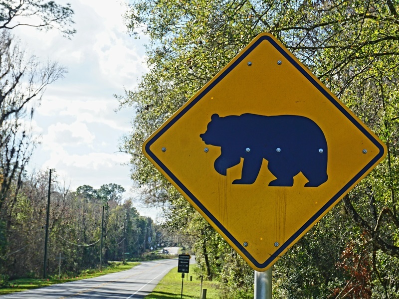 Straßenschild, welches vor Bären warnt