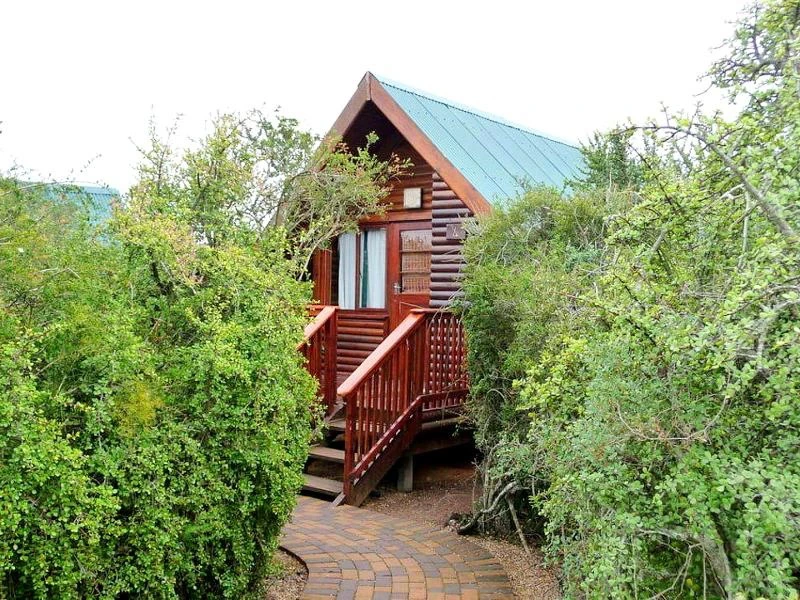 Addo Hotel Budget Südafrika