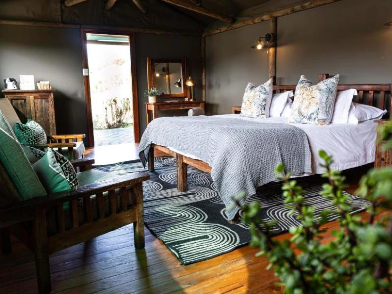 Westkap Safari Lodge Südafrika