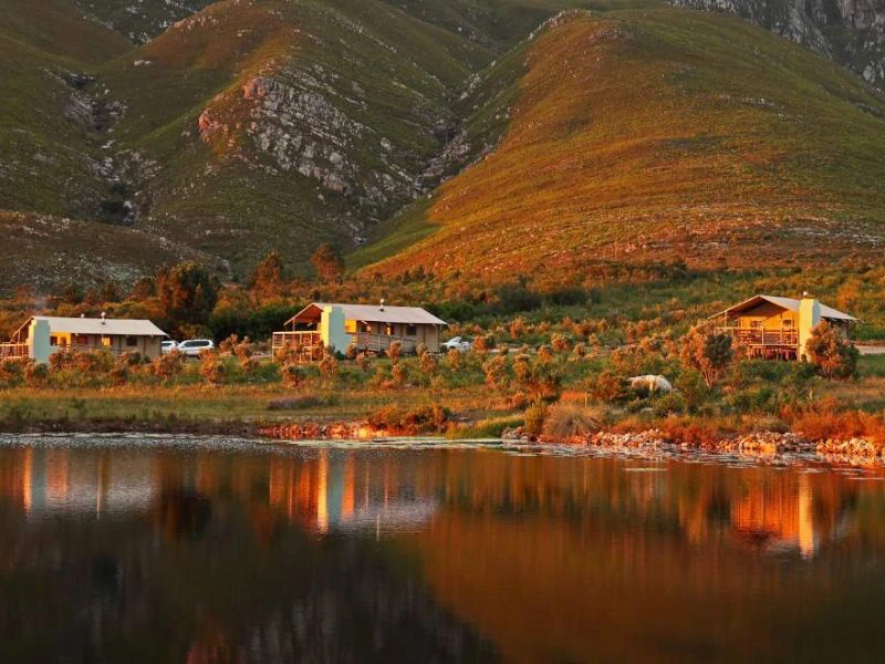 Hermanus Glamping Südafrika