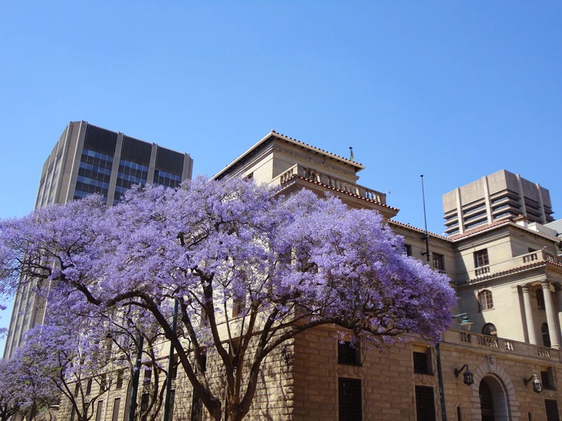 Pretoria Stadtzentrum Südafrika