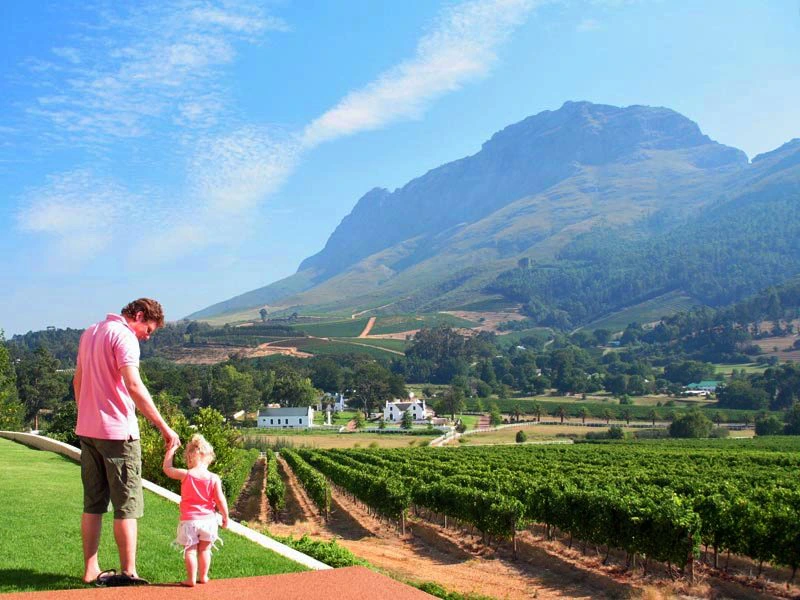 Vater und Tochter in den Weinbergen Südafrika