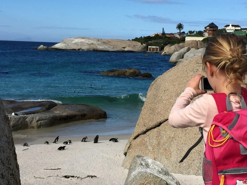 Kind fotografiert Pinguine in Südafrika