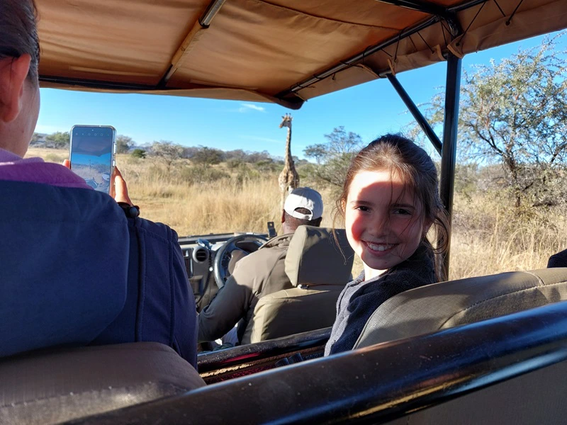 Südafrika Safari Giraffe