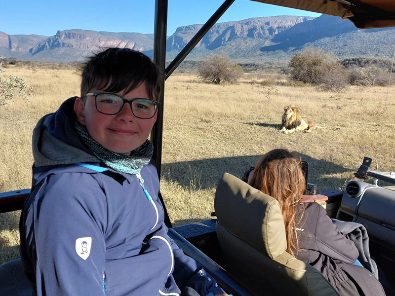 Löwe bei der Südafrika Safari