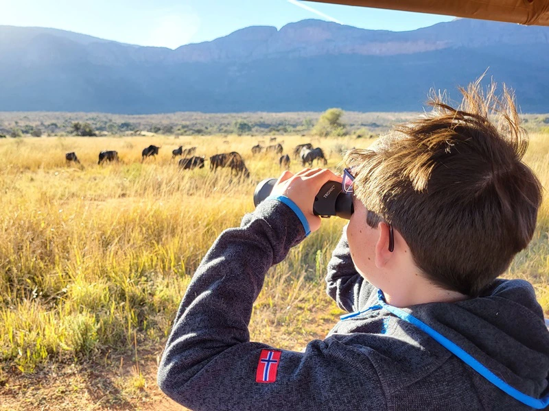 Beste Reisezeit Südafrika Safari