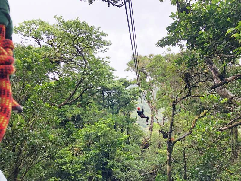 Südafrika Canopy in dn Drakensbergen
