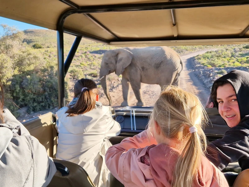 Südafrika Jeepsafari am Westkap
