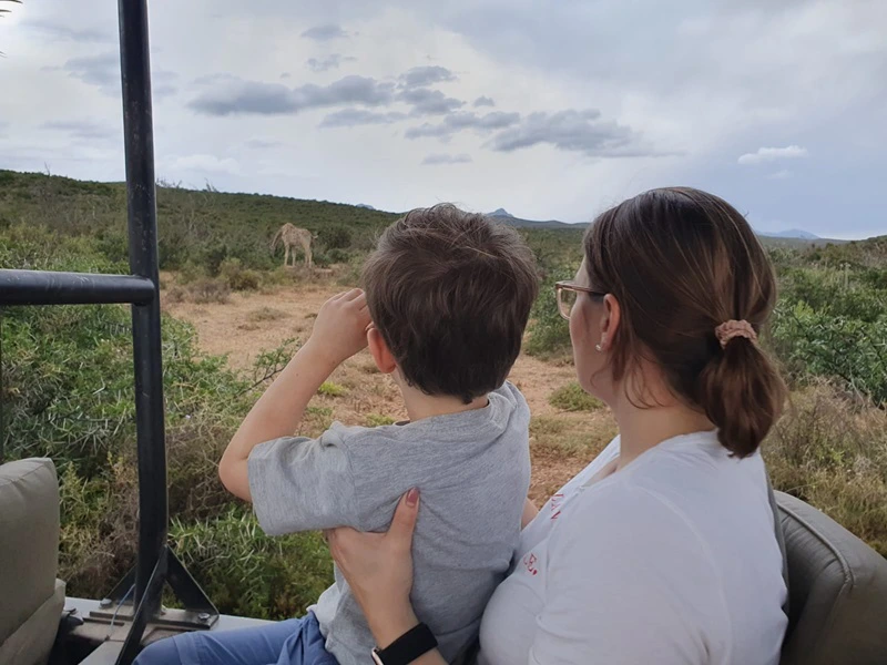 Giraffe bei einer Südafrika Safari mit Kindern