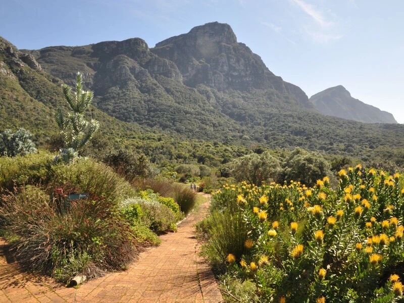 Botanischer Garten in Kirstenbosch