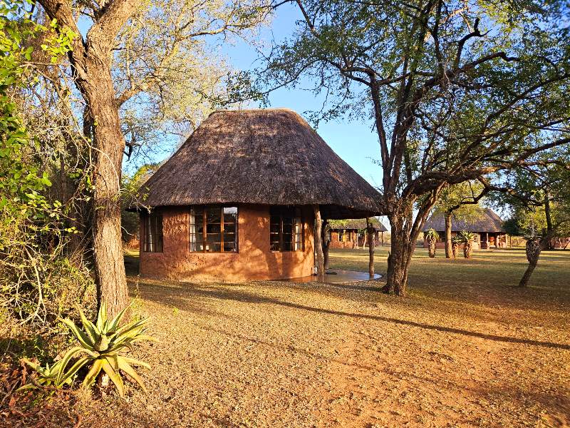 Rondavel im Hlane Nationalpark Eswatini