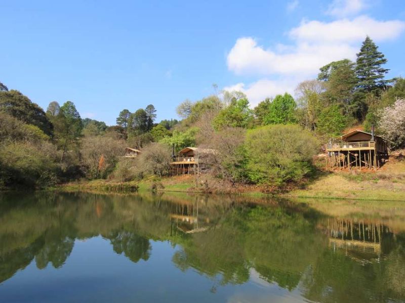 Grüne Landschaft in Tzaneen Südafrika