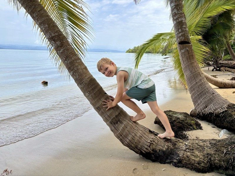 La Digue Seychellen Junge am Strand auf einer Palme