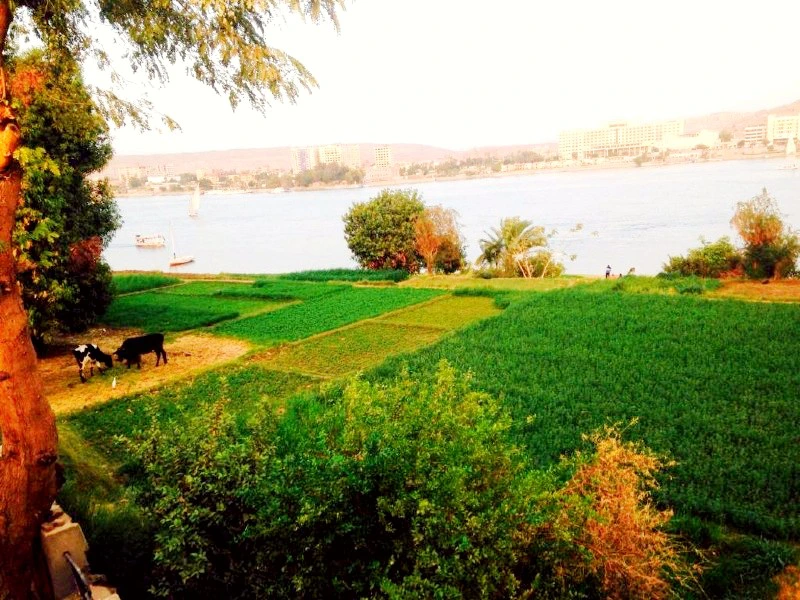 Assuan Hotel Ägypten