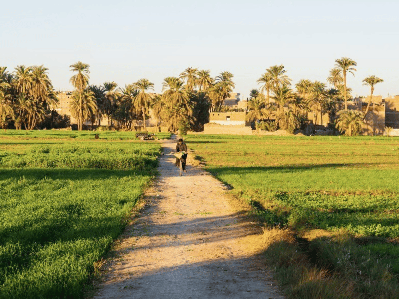 Radtour an der Westbank in Luxor Ägypten