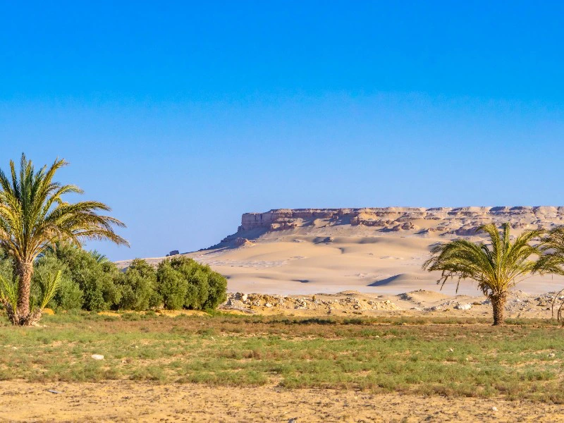 Al Fayoum Ägypten