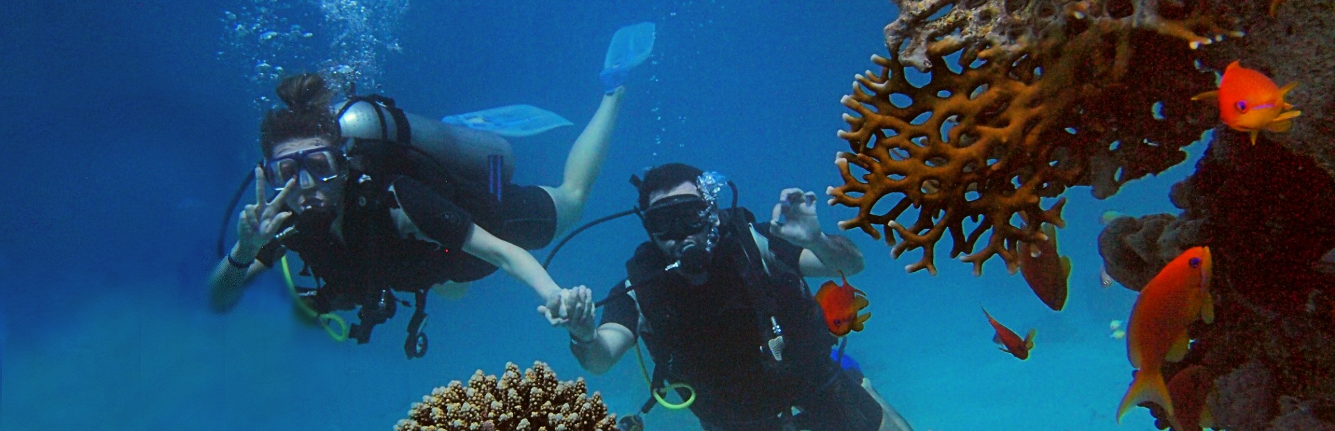Tauchen am Roten Meer in Ägypten