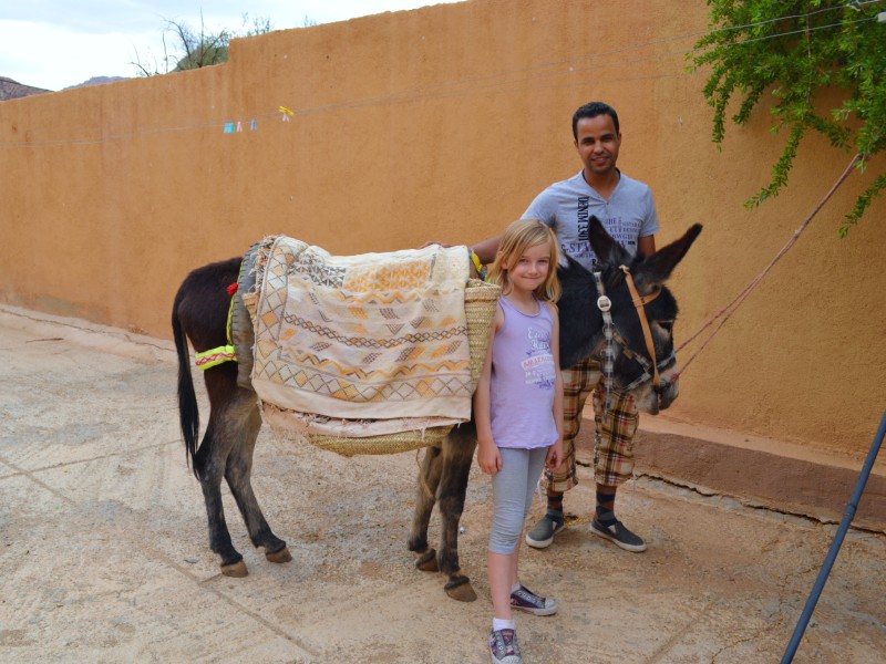 Familienurlaub in Ägypten