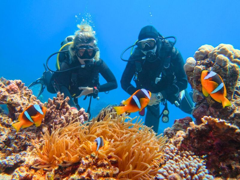 Auf Tauchgang im Roten Meer in Ägypten.