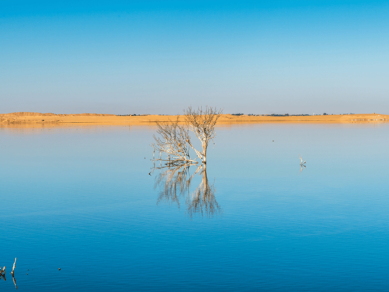Dakhla Oase in Ägypten