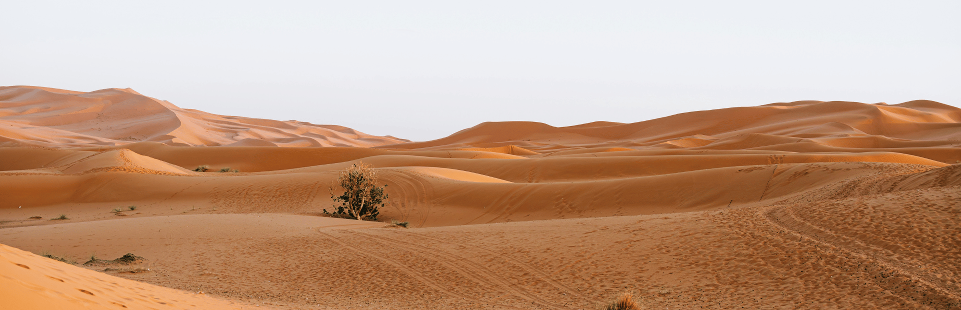 Dünen in der Wüste Ägyptens
