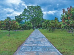 Garten im Hotel in Kandalama, Sri Lanka