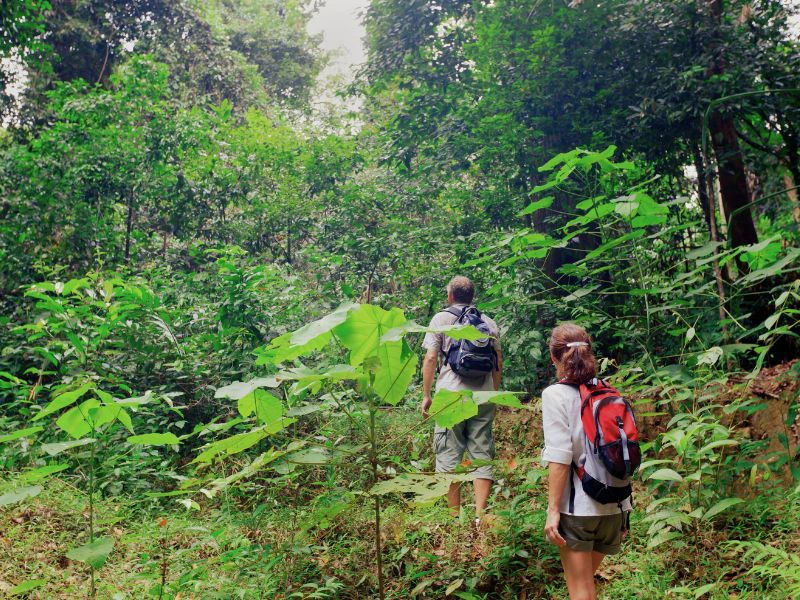 Wanderer im Sinharaja Regenwald in Sri Lanka