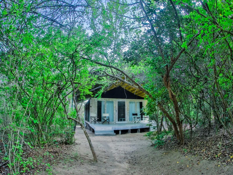 Yala Zeltunterkunft