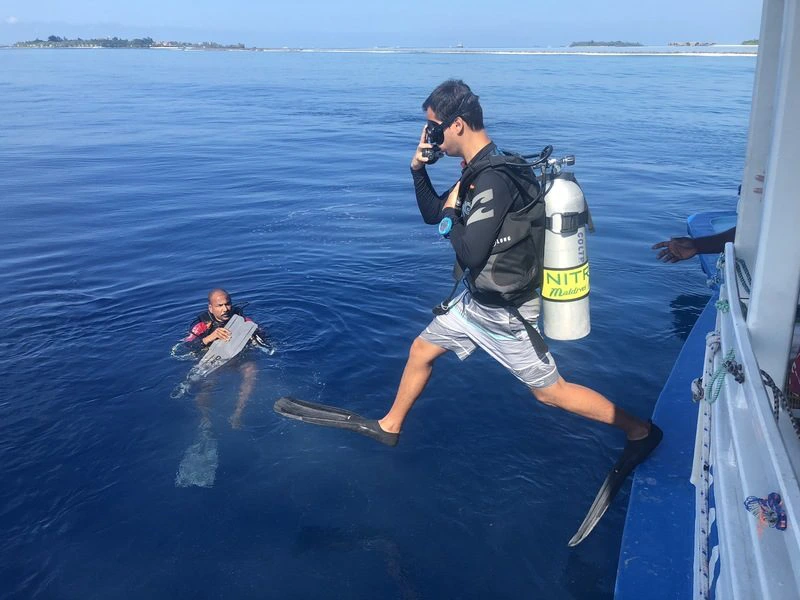 Diving auf den Malediven
