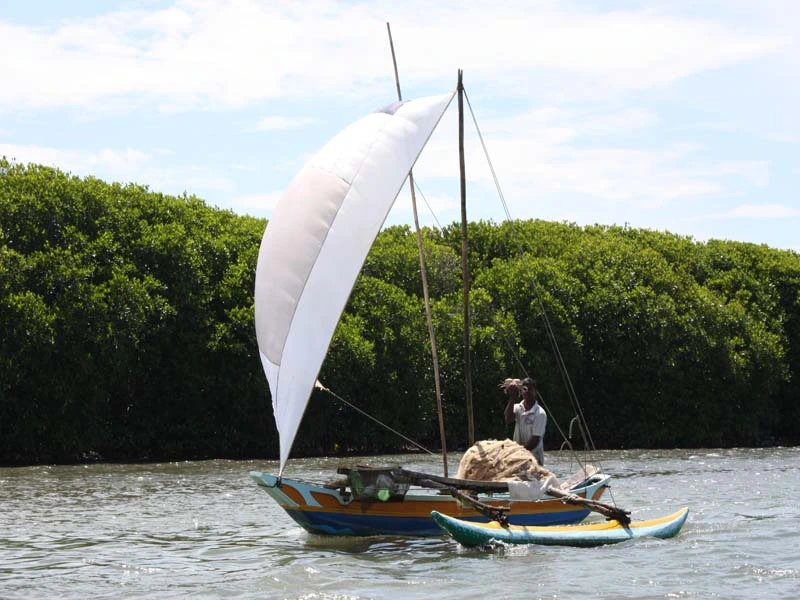 Fischerboot bei Negombo, Sri Lanka