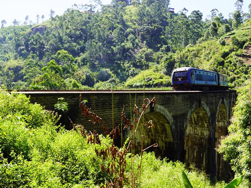 Mit dem Zug durch die Teeplantagen in Sri Lanka