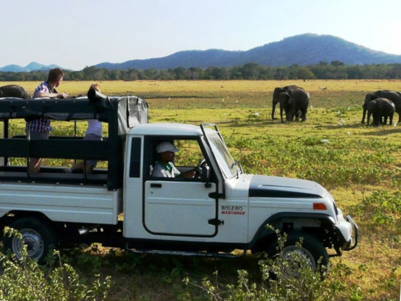 Mit dem Jeep auf Safari im Yala Nationalpark